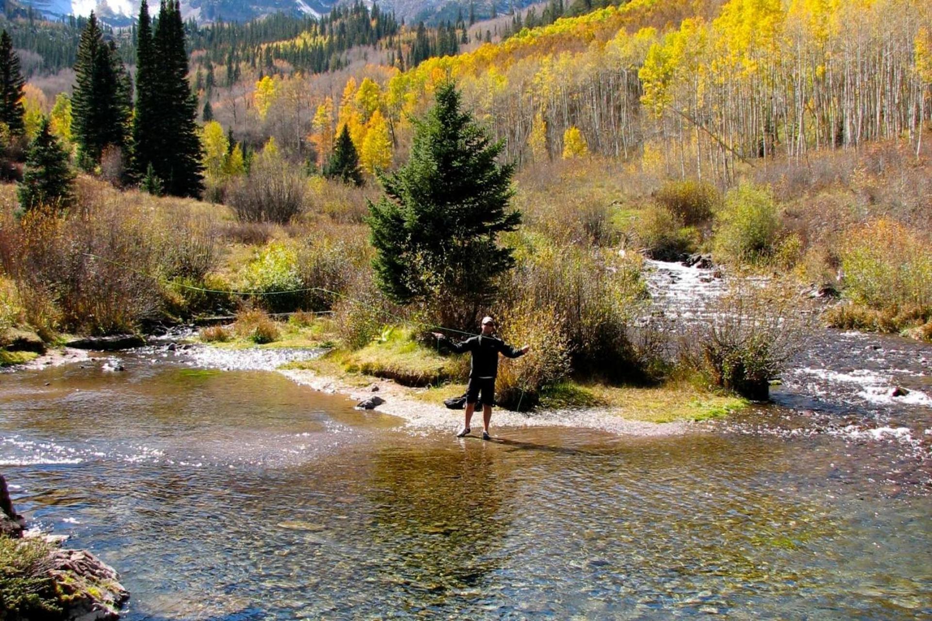Chaparral Aspen Ranch Cabin Woody Creek المظهر الخارجي الصورة